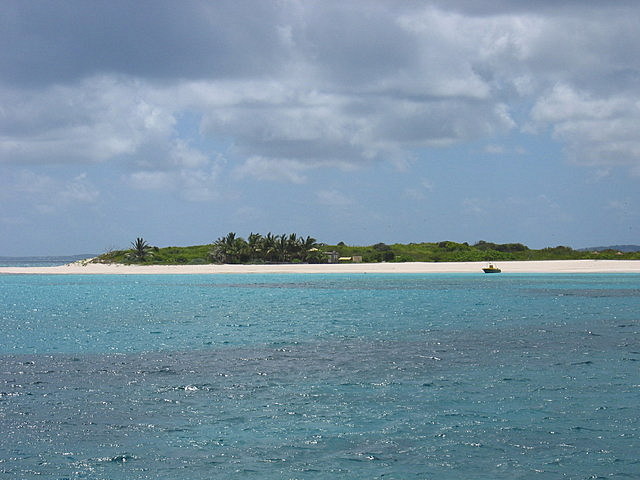 Prickly Pear - a desert island