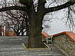 Zumba, puu ja iloiseksi maalattu penkki linnan pihalla