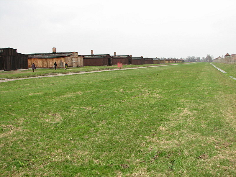 Birkenaun keskistysleiri