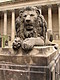 Lion at St George's Hall, Liverpool
