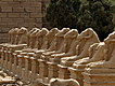 Avenue of Ram-Headed sphinxes