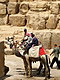 Camels at The Pyramids