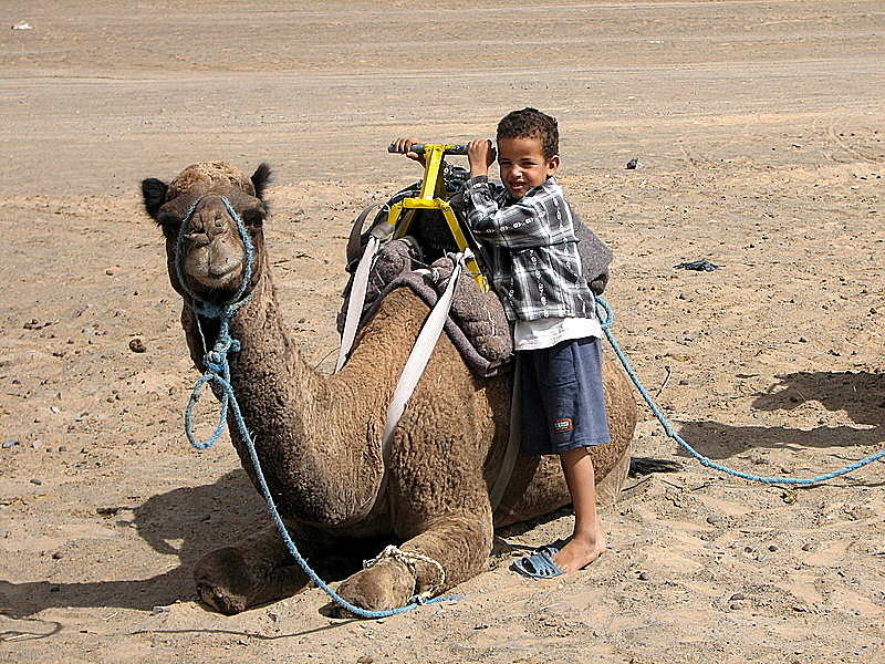 Kameli ja poika
