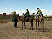 Preparing for camel riding
