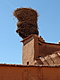 Stork nest in Taourirt Kasbah in Ouarzazate