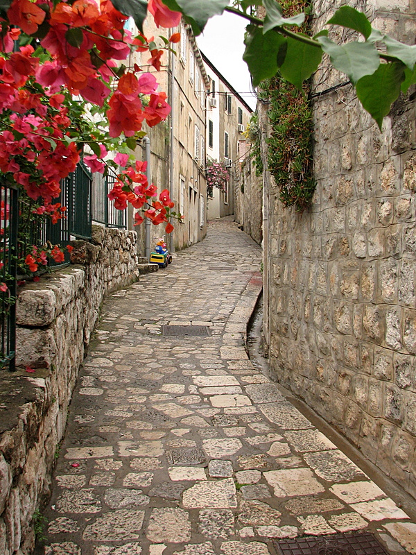 Dubrovnikin katuja