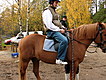 Sakke riding a horse